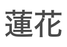 蓮花
